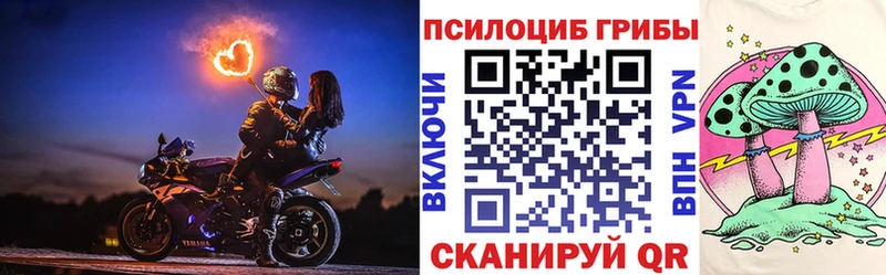 Галлюциногенные грибы ЛСД KRAKEN вход Бежецк